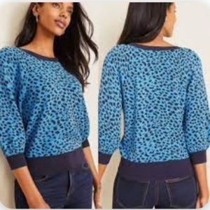 Ann Taylor Blue Leopard Print Sweater